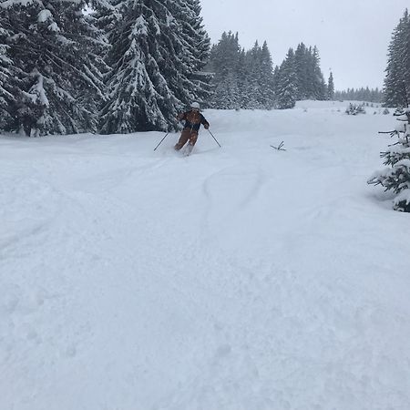Alpendomizil Pia Apartment Mühlbach am Hochkönig Екстериор снимка