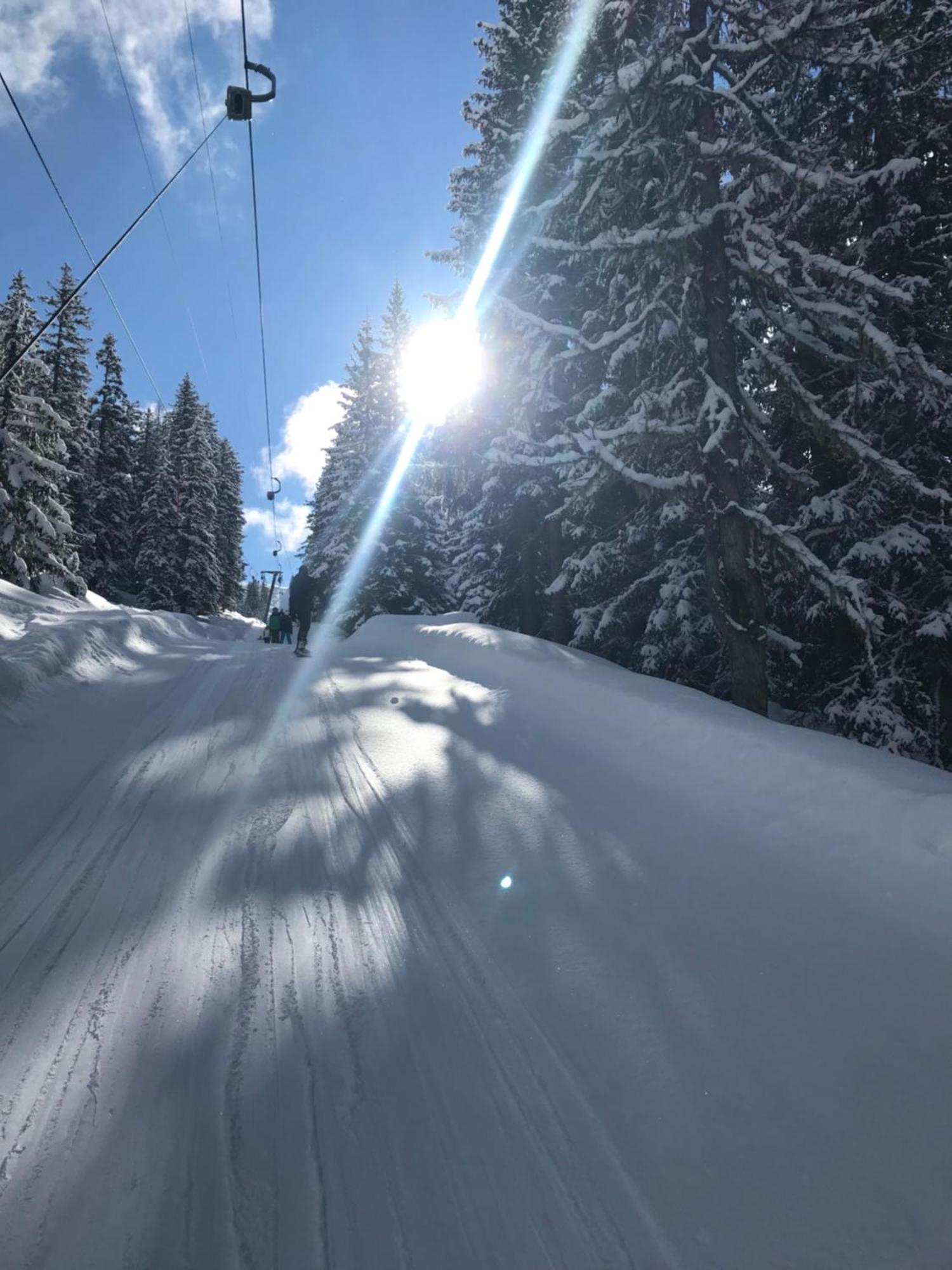Alpendomizil Pia Apartment Mühlbach am Hochkönig Екстериор снимка