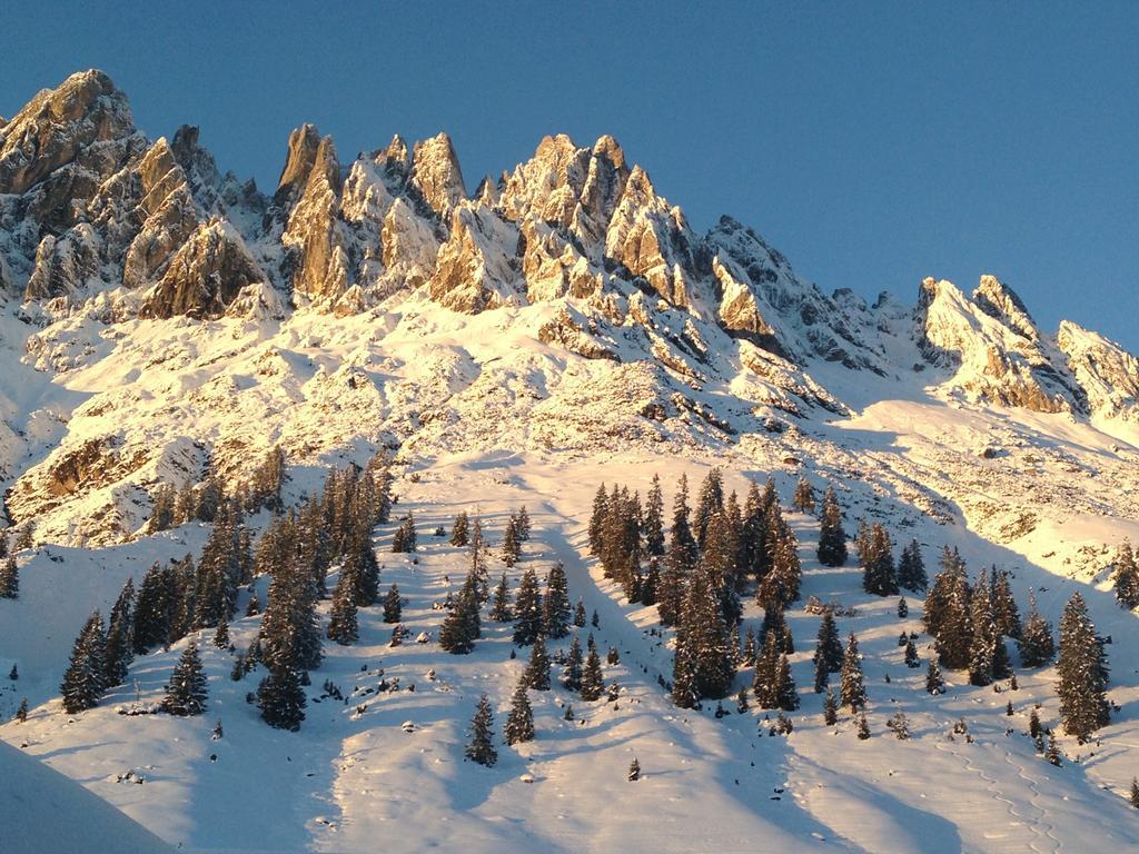 Alpendomizil Pia Apartment Mühlbach am Hochkönig Екстериор снимка
