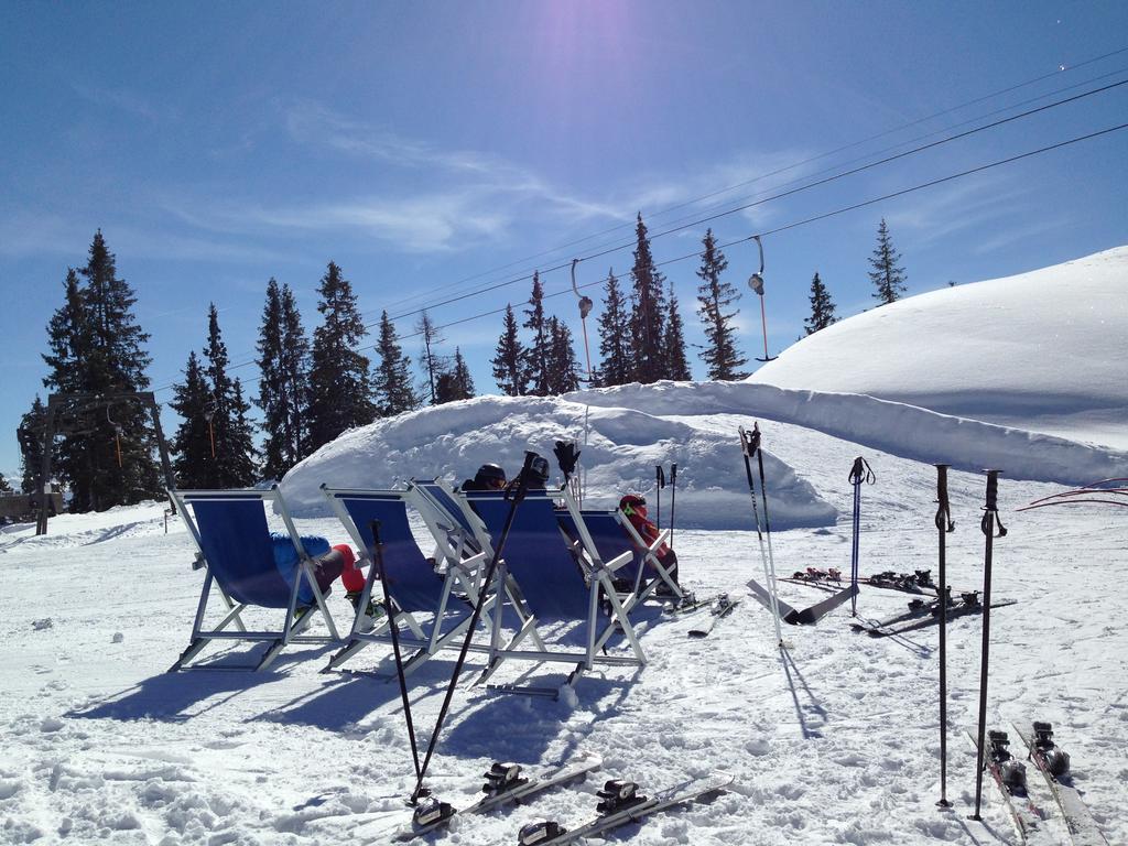 Alpendomizil Pia Apartment Mühlbach am Hochkönig Екстериор снимка