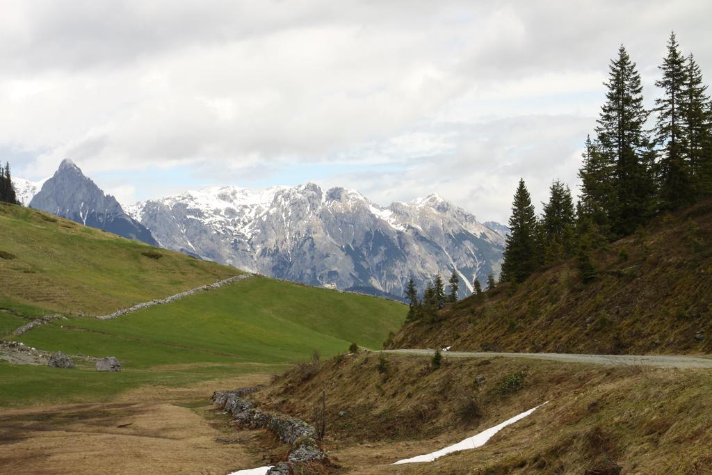 Alpendomizil Pia Apartment Mühlbach am Hochkönig Екстериор снимка