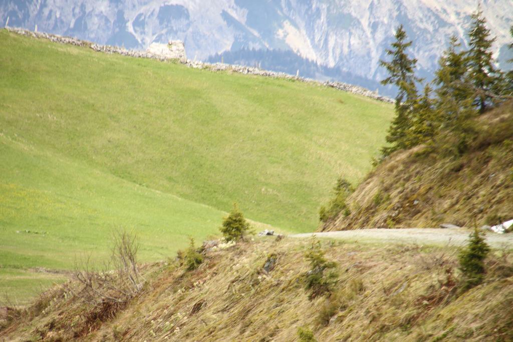 Alpendomizil Pia Apartment Mühlbach am Hochkönig Екстериор снимка