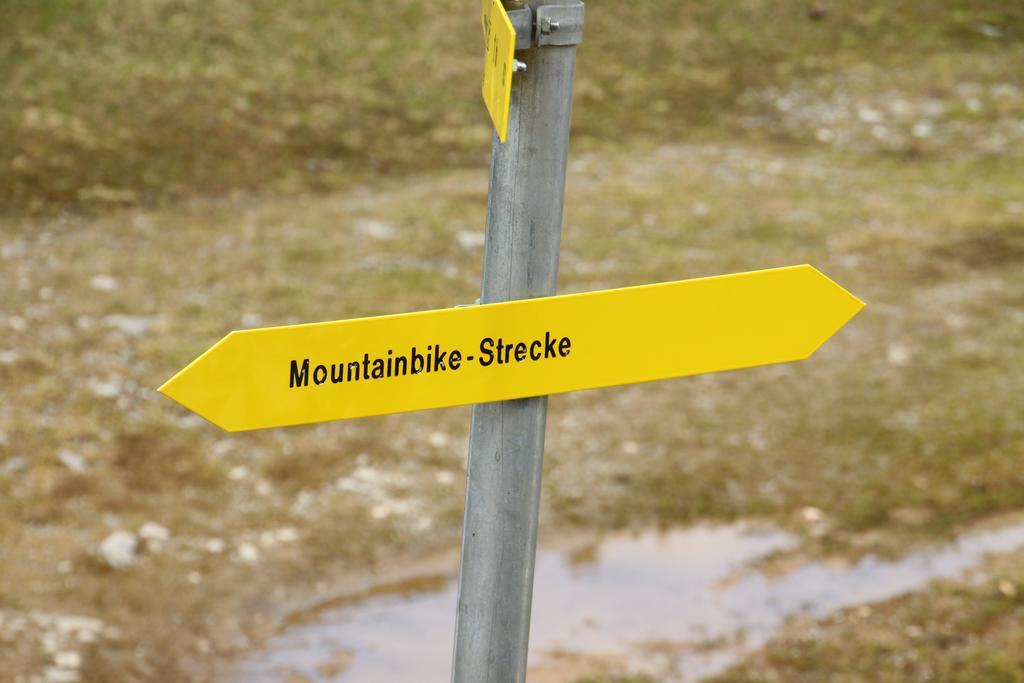 Alpendomizil Pia Apartment Mühlbach am Hochkönig Екстериор снимка